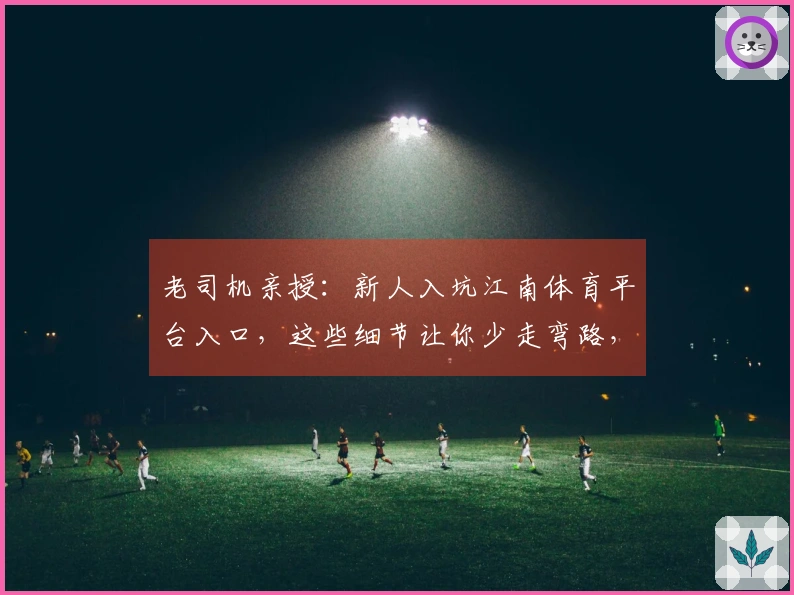 老司机亲授：新人入坑江南体育平台入口，这些细节让你少走弯路，直奔高收益！