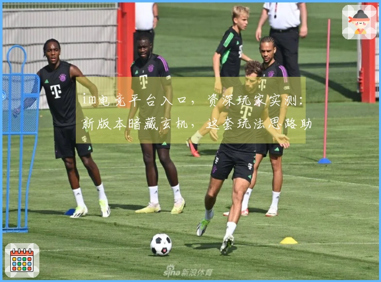 im电竞平台入口，资深玩家实测：新版本暗藏玄机，这套玩法思路助你连胜登顶