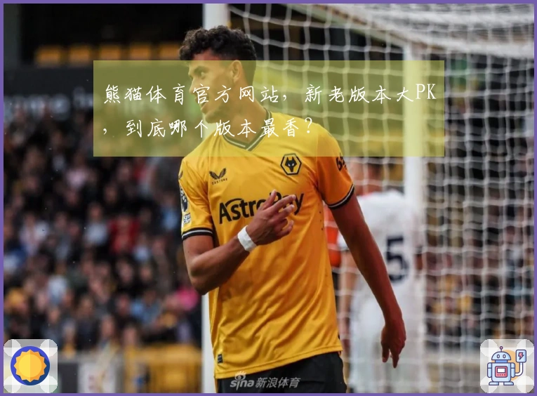 熊猫体育官方网站，新老版本大PK，到底哪个版本最香？